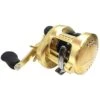 Shimano Calcutta Conquest 300/301 (2018) 2 Shimano Calcutta Conquest 300/301 (2018) -Shimano Shop 0000010000000000r 1