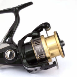 Shimano Shop -Shimano Shop 51SF22B010Ar 2