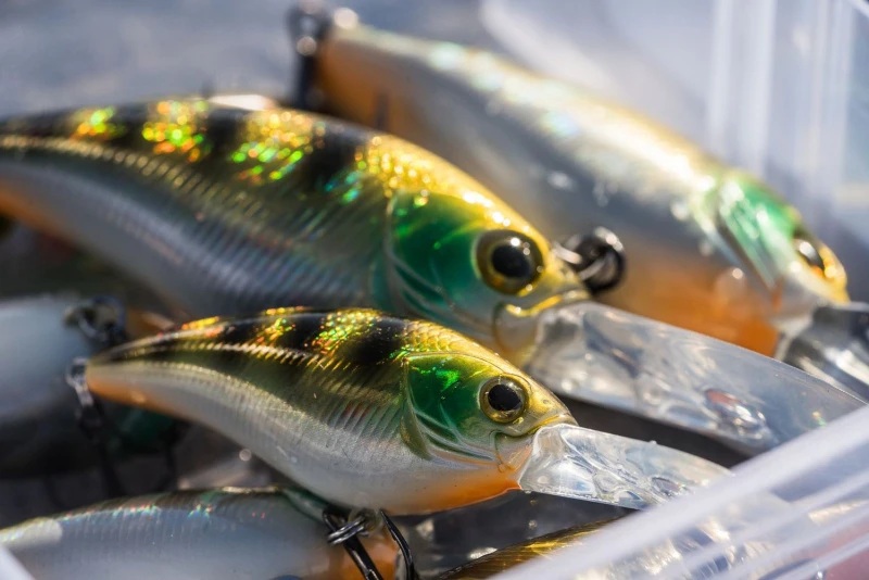 Shimano Yasei Cover Crank F 6 Shimano Yasei Cover Crank F - Image 4