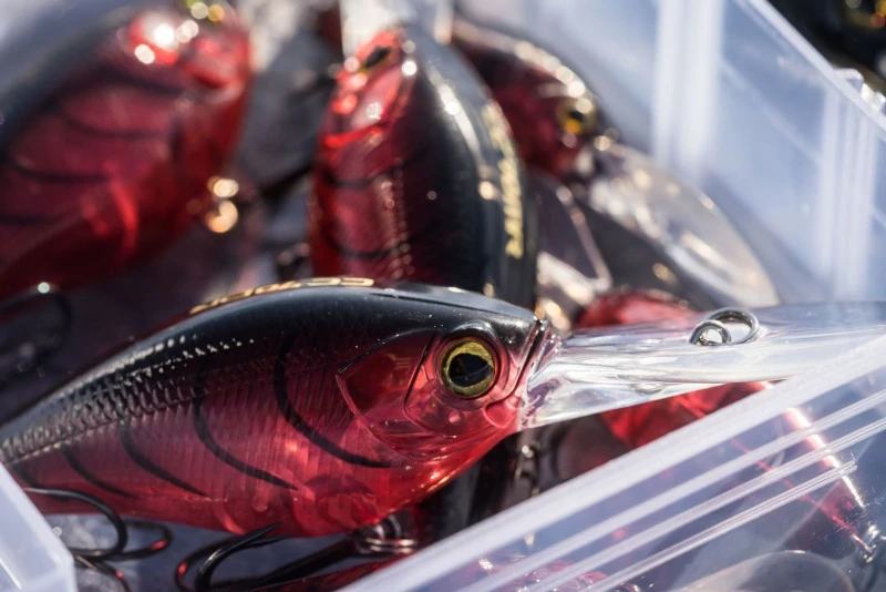 Shimano Yasei Cover Crank F 7 Shimano Yasei Cover Crank F - Image 5