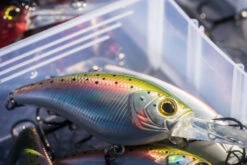 Shimano Yasei Cover Crank F 13 Shimano Yasei Cover Crank F -Shimano Shop LUYASCCFSR07RBTr 6