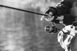 Shimano Stella FK 12 Shimano Stella FK -Shimano Shop STL1000FKr 5