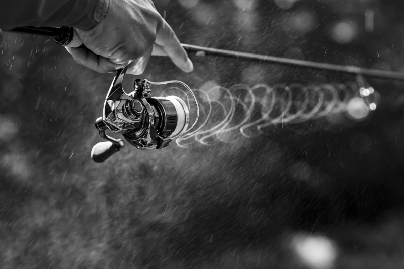 Shimano Stella FK 8 Shimano Stella FK - Image 6