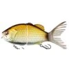 FLOATING LURE SHIMANO BANTAM BT SRAPTOR 18CM -Shimano Shop floating lure shimano bantam bt sraptor 18cm z 2242 224276