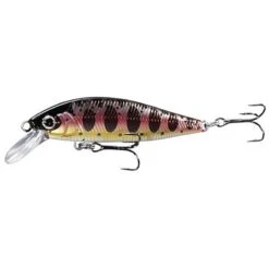 LEURRE COULANT SHIMANO CARDIFF PINSPOT 50S - 5CM
