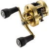 Shimano Calcutta Conquest MD Baitcasting Reels 1 Shimano Calcutta Conquest MD Baitcasting Reels -Shimano Shop shimano calcutta conquest md baitcasting reels 10126.1674255439