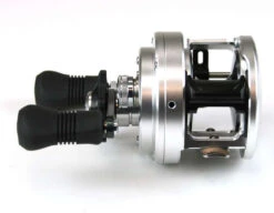 Shimano CT301D L/H Calcutta Reel 7 Shimano CT301D L/H Calcutta Reel -Shimano Shop shimano calcutta d ct301d 98642.1650937052