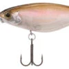 Shimano Enber 60SP Jerkbait -Shimano Shop shimano enber 60sp jerkbait 37814.1678982050