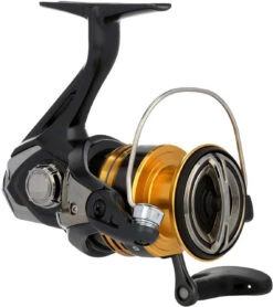 Shimano Sahara FJ Spinning Reels -Shimano Shop shimano sahara fj spinning reels 63926.1651444120