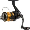 Shimano Sahara FJ Spinning Reels 1 Shimano Sahara FJ Spinning Reels -Shimano Shop shimano sahara fj spinning reels 95048.1651444119