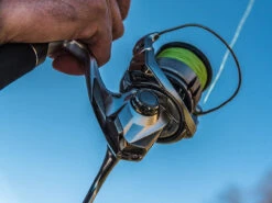 Shimano Stradic FL Spinning Reels 11 Shimano Stradic FL Spinning Reels -Shimano Shop shimano stradic fl spinning reels 33628.1651246853