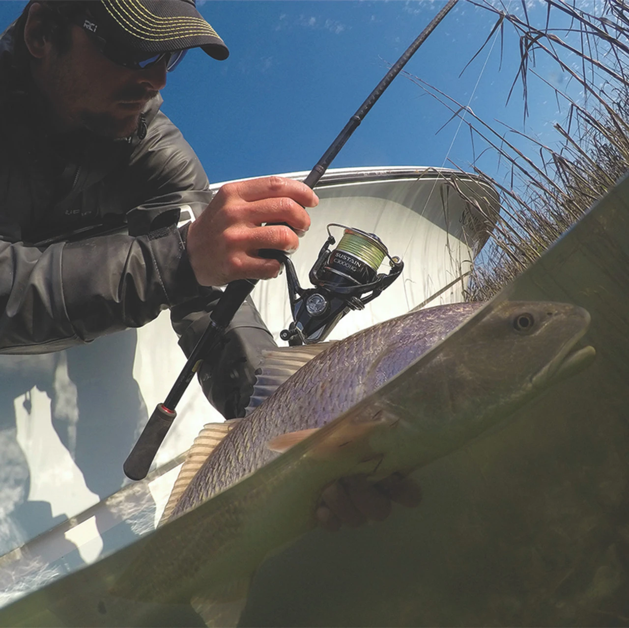 Shimano Sustain FI Spinning Reels 4 Shimano Sustain FI Spinning Reels - Image 2