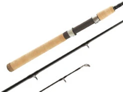 Shimano Teramar Inshore Southeast Casting And Spinning Rods -Shimano Shop shimano teramar southeast fishing rods 71796.1651006809