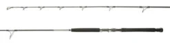 Shimano Terez BW BFC Spinning Rods -Shimano Shop shimano terez bw bfc spinning rods 89577.1679142337