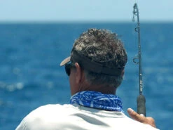 Shimano Terez Spinning Rods 7 Shimano Terez Spinning Rods -Shimano Shop shimano terez spinning fishing rods 44313.1651006832