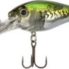 Shimano World Crank 73F Crankbait