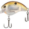Shimano World Rush Square Bill Crankbait -Shimano Shop shimano world rush square bill crankbait 05009.1678982279